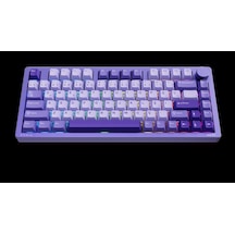 Philips Evnia Spk8618uprh Hotswap Makrolu 3 Modlu Metal Gaming Oyuncu Klavyesi Mor