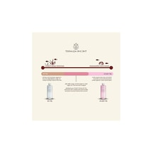Apt Fix Lite 100ml Yosun Giderici