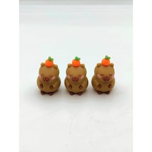Abc Capy Bara Silgi 3 Lü