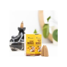 Aromatika Mango & Hindistan Cevizi Geri Akışlı Şelale Tütsü