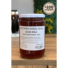 Düzce Yayla Çiçek Balı 850gr %100 Doğal Saf Yayla Balı