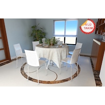 Casella Roy Plastik Sandalye Metal Krom Ayak Mutfak Salon Çalışma