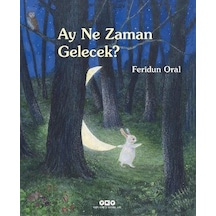 Ay Ne Zaman Gelecek? - Feridun Oral - Yapı Kredi Yayınları