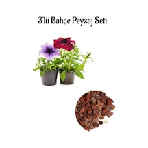 Kırmızı+açık Mor Petunya Çiçeği 10-20cm +curf Dekoratif Taş 2lt 3'lü Bahçe Peyzaj Seti