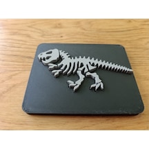 Dinozor İskeleti Bulmacası