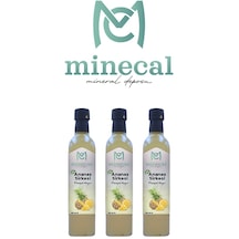 Minecal %100 Ev Yapımı Katkısız Ananas Sirkesi 3 x 500 ML