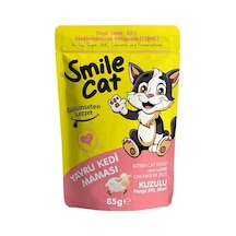 Smile Cat Pouch 85 Gr Kedi Somonlu 100 G