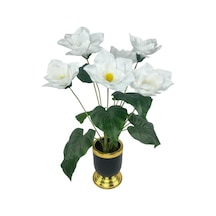 Yapay Çiçek Islak Manolya Çiçeği 6 Çiçekli 65cm Gold Siyah Darbuka Galvaniz Vazoda Salon Çiçeği