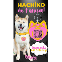 Petjoo 19.Hachiko Pembe-Sarı Qr'lı Köpek Künyesi