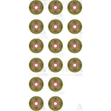 REINZ 12-36613-1 Subap Lastiği Stilo / Astra G H Astra H J Vectra C Insignia Zafira 1.6 16V 1.8 1.6 Takım