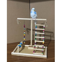 Paks Pet Kuş Oyun Parkı No:14