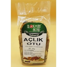 Lokman Aktar Açlık Otu 40 G
