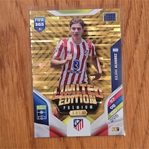 2026 Julian Alvarez Limited Edition Gold Oyun Kartı