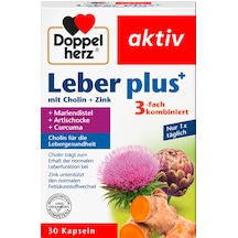 Doppel Herz Aktiv Leber Plus 30 Kapsül
