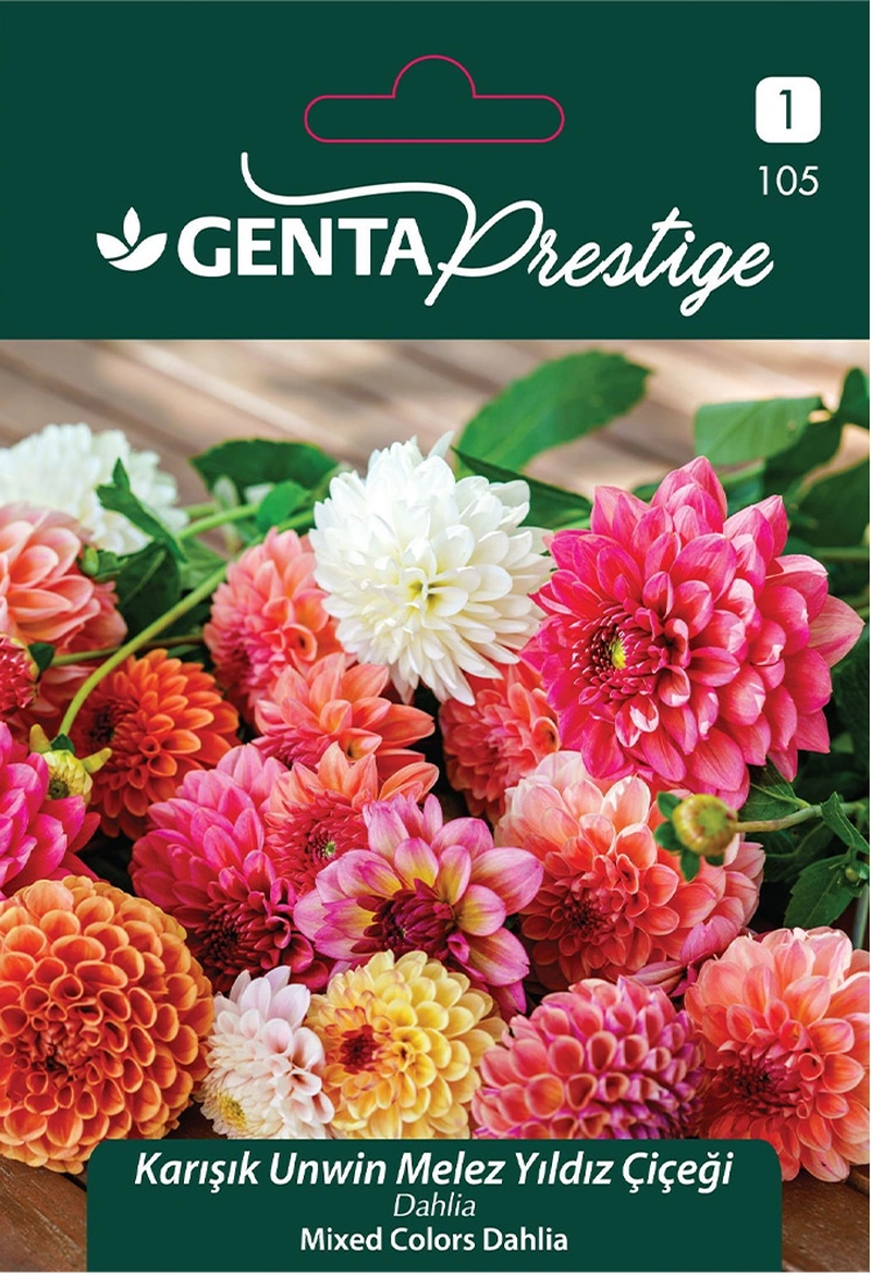Genta - Karışık Unwin Melez Yıldız Çiçeği Tohumu 1 Paket