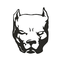 Pitbull Köpek Özel Yeni Sticker 15 11,5 Cm