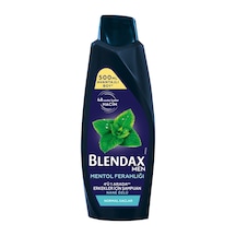 Blendax Nane Özlü Erkek Şampuanı 500 Ml