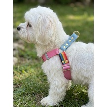Köpek Göğüs Tasması Orta Irk Ayarlamalı Kolon Kordon Pembe