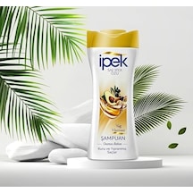 Yağ Hazinesi Şampuan 480 Ml