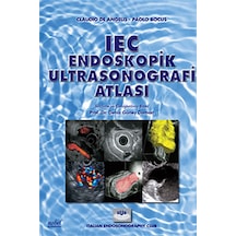 Iec Endoskopik Ultrasonografi Atlası N11.1188