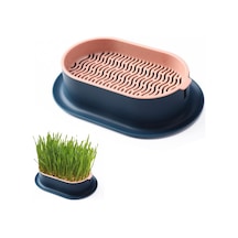 Mufunye Kedi Çimi Ekici Hidroponik Yetiştirme Kiti İç Mekan İçin Topraksız Kedi Nanesi Buğday Çimi B