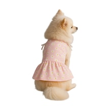 Kedi Ve Köpek Kıyafeti & Elbisesi Pembe Papatyalı Elbise S