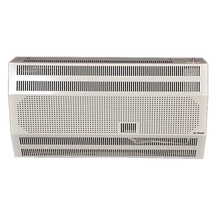 As Royal DT-11000 F Fanlı Hermetik Duvar Tipi Doğalgaz Sobası