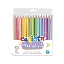 Pastel Renk Kuru Boya Kalemi 24'lü Diğer