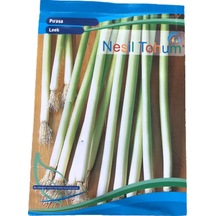 Pırasa Atalık Tohum 3 Paket