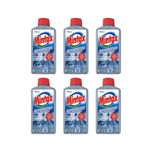 Mintax Bulaşık Makinesi Temizleyici 250 Ml X6