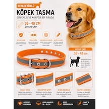 Reflektörlü Köpek Boyun Tasması 36-48 Cm Ayarlanabilir Metal Tokalı Gece Görünürlük - Turuncu Çok Renkli