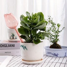 Gateesat Açık Altın Sümbül Sulama Küresi, Uzun Damlama Süresi İçin Dar Ağız Tasarımı, İç Ve Dış Mekan Bitkileri İçin