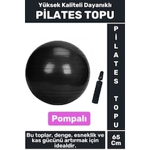 Premium Dayanıklı Fitness Egzersiz Aerobik Pilates Şişirme Pompası 65 Cm Pilates Topu