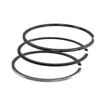 Federal Segman Fm 06-337400.90 Laguna I