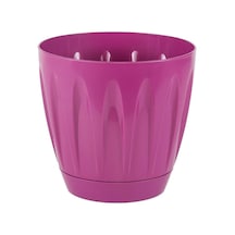 Serinova Papatya Tabaklı Saksı 6 Lt