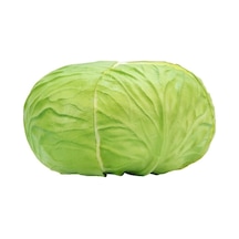 Yapay Yeşil Lahana