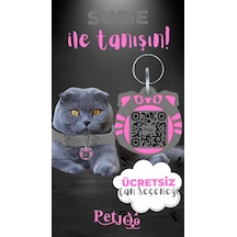 Petjoo 3.Susie Pembe-Gri Qr'lı Kedi Künyesi