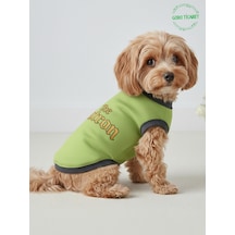 Yeşil The Patron Yazılı Kedi Ve Köpek Kıyafeti Tişörtü Elbisesi Xsmall/xs/beden 0