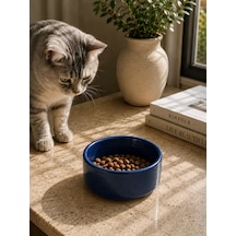 Hubrendy Sh Kase Model Beton Kedi Köpek Mama Ve Su Kabı 15cm Çap 5cm - Lacivert