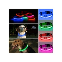 Led Işıklı Köpek Tasması Pilli 3 Modlu Gece Görünürlük - Yeşil M Beden Çok Renkli