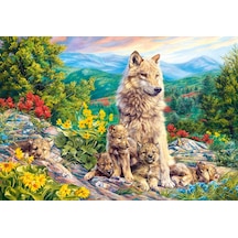 Castorland 1000 Parça Puzzle New Generation