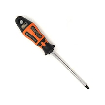 Retta Rxt1030 Delikli Torx Tornavida T30