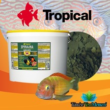 Tropical %36 spirulina super forte 100 gram