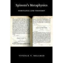 Spinoza's Metaphysics: Substance And Thought