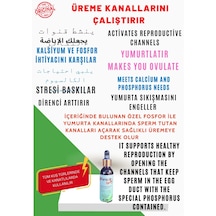 Feroxit Kuşlarda Üreme Ve Yumurta Kanallarını Çalıştırır Egg Mix 50 ML
