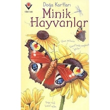 Doğa Kartları  - Minik Hayvanlar  - Emily Bone  - Tübitak Yayınları