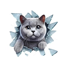 Fulcar British Araç Stickerı