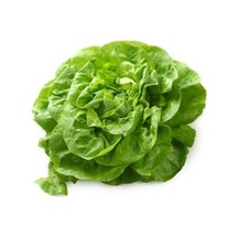 Marul Tohumu 500+ Tohum