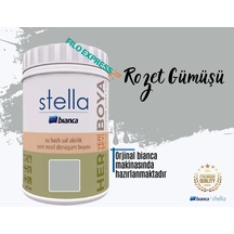 Bianca Stella Su Bazlı Saf Akrilik Boya 1 L Rozet Gümüşü