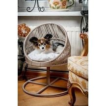 Lepus Galaxi Model Kedi Kedi Ve Küçük Irk Köpek Yatağı Koyu Gri 60x47x53 Cm